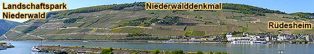 Groe gefhrte Weinwanderung ca. 4 km durch den Landschaftspark Niederwald entlang dem Rheinsteig zum Niederwalddenkmal und zum Feldtor am Bahnhof Rdesheim am Rhein mit 4 Weinproben im Weinberg
