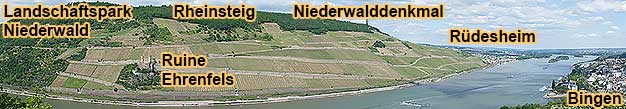 Groe gefhrte Weinwanderung ca. 4 km durch den Landschaftspark Niederwald entlang dem Rheinsteig zum Niederwalddenkmal und zum Feldtor am Bahnhof Rdesheim am Rhein mit 4 Weinproben im Weinberg