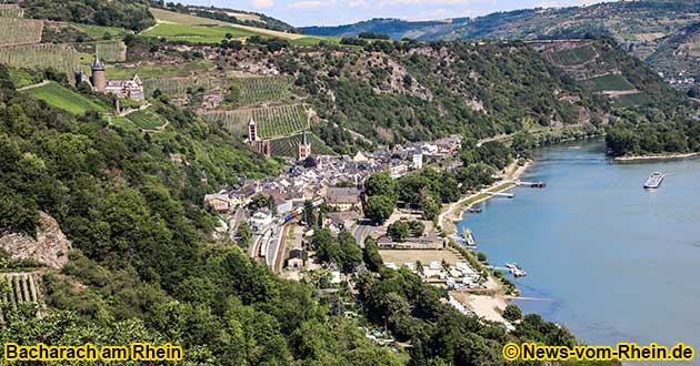 Bacharach am Rhein ist bekannt fr hervorragende Weine. Die Weintrauben hierfr werden  in den Weinbergen rund um die Burg Stahleck angebaut.