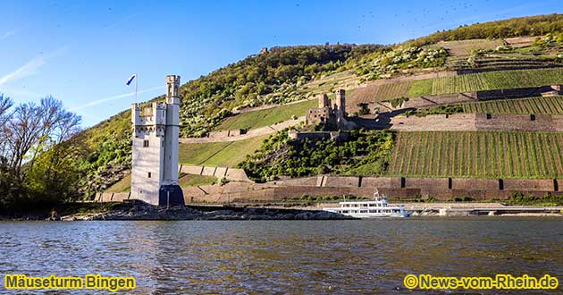 Der Museturm steht auf einer kleinen Insel vor Bingen - Bingerbrck. Im Hintergrund ist die Burg Ehrenfels, die zu Rdesheim gehrt, zu sehen.